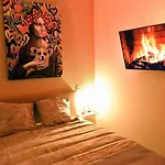 Suitedreams-Jungle Suite - Liege