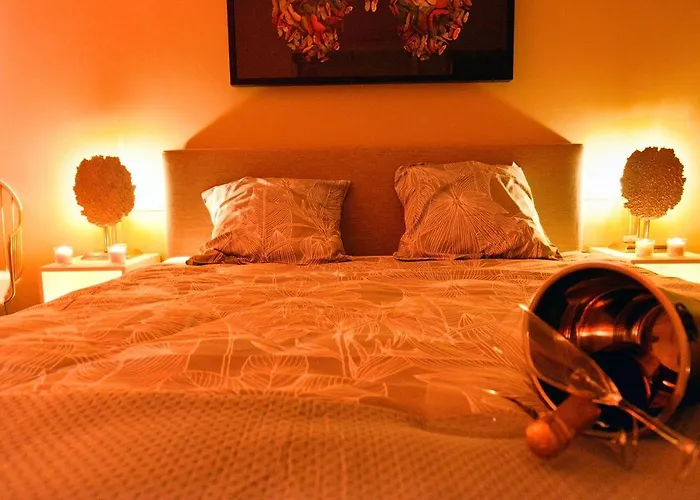 Suitedreams-Jungle Suite - Liege
